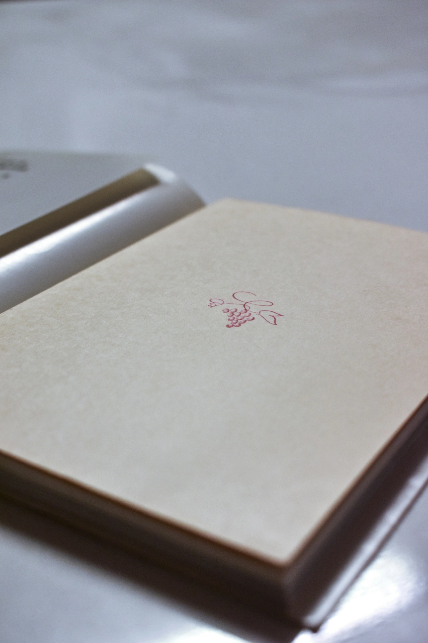 Gros plan d'une page blanche de couleur crème dans un livre ouvert, avec au centre un estampage de feuilles et de raisins rouges ; arrière-plan légèrement flou, bokeh.