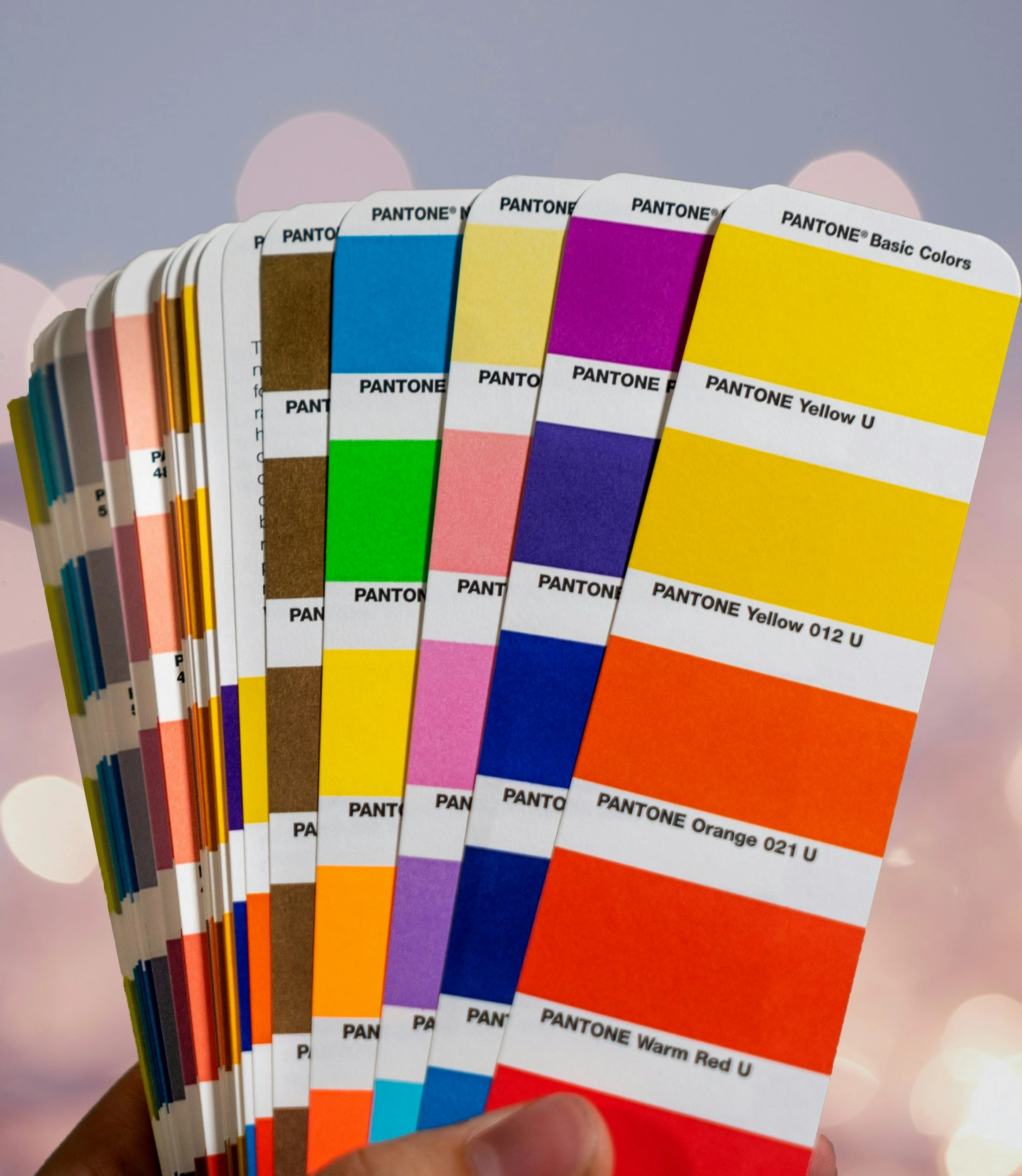 Une main présente un nuancier Pantone avec des échantillons de couleurs étiquetés. L'arrière-plan flou (bokeh) suggère une installation de studio de photographie.
