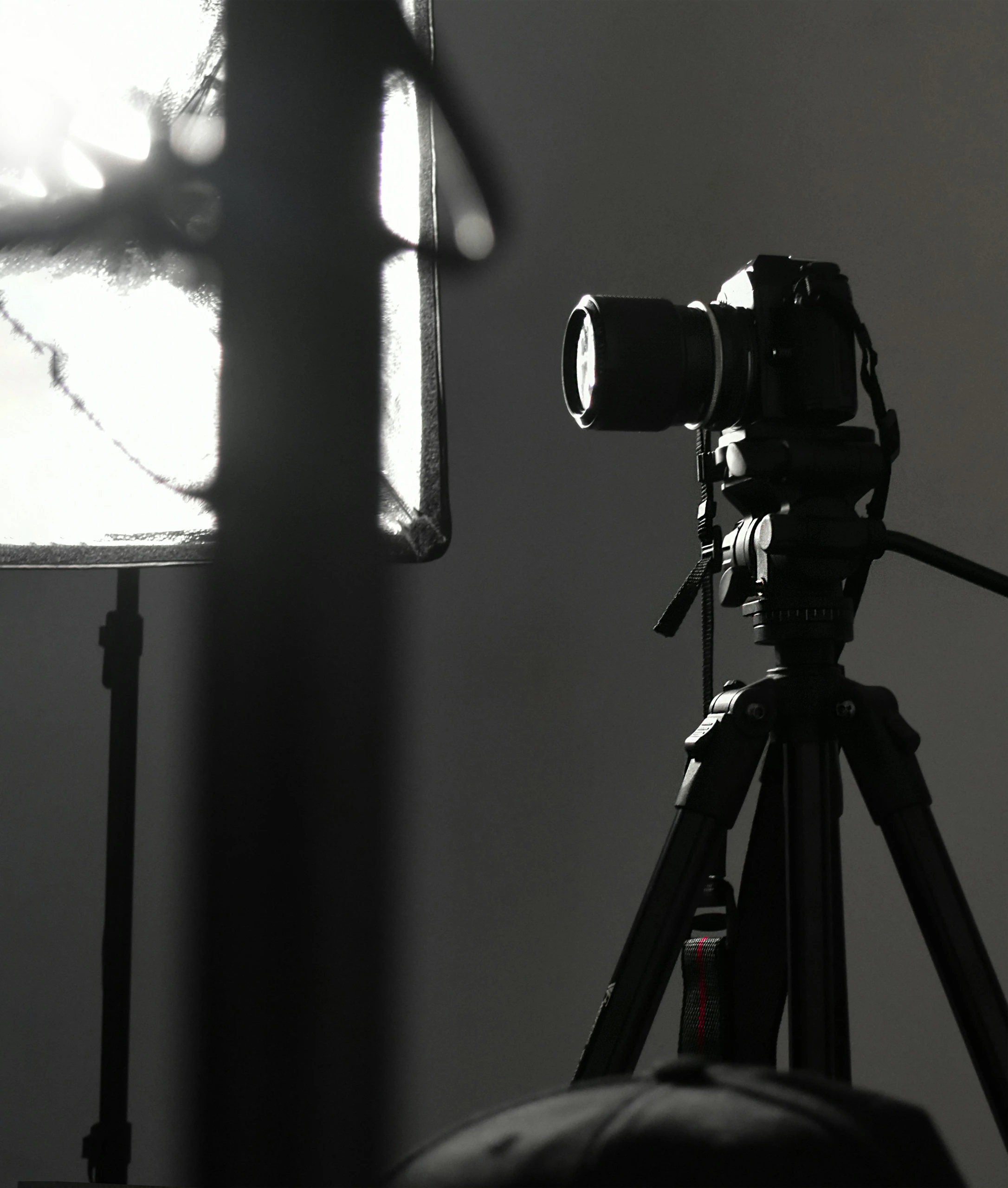 Appareil photo de studio sur trépied orienté vers la source de lumière, grande boîte à lumière placée à gauche ; la tête du photographe est partiellement dans le cadre.