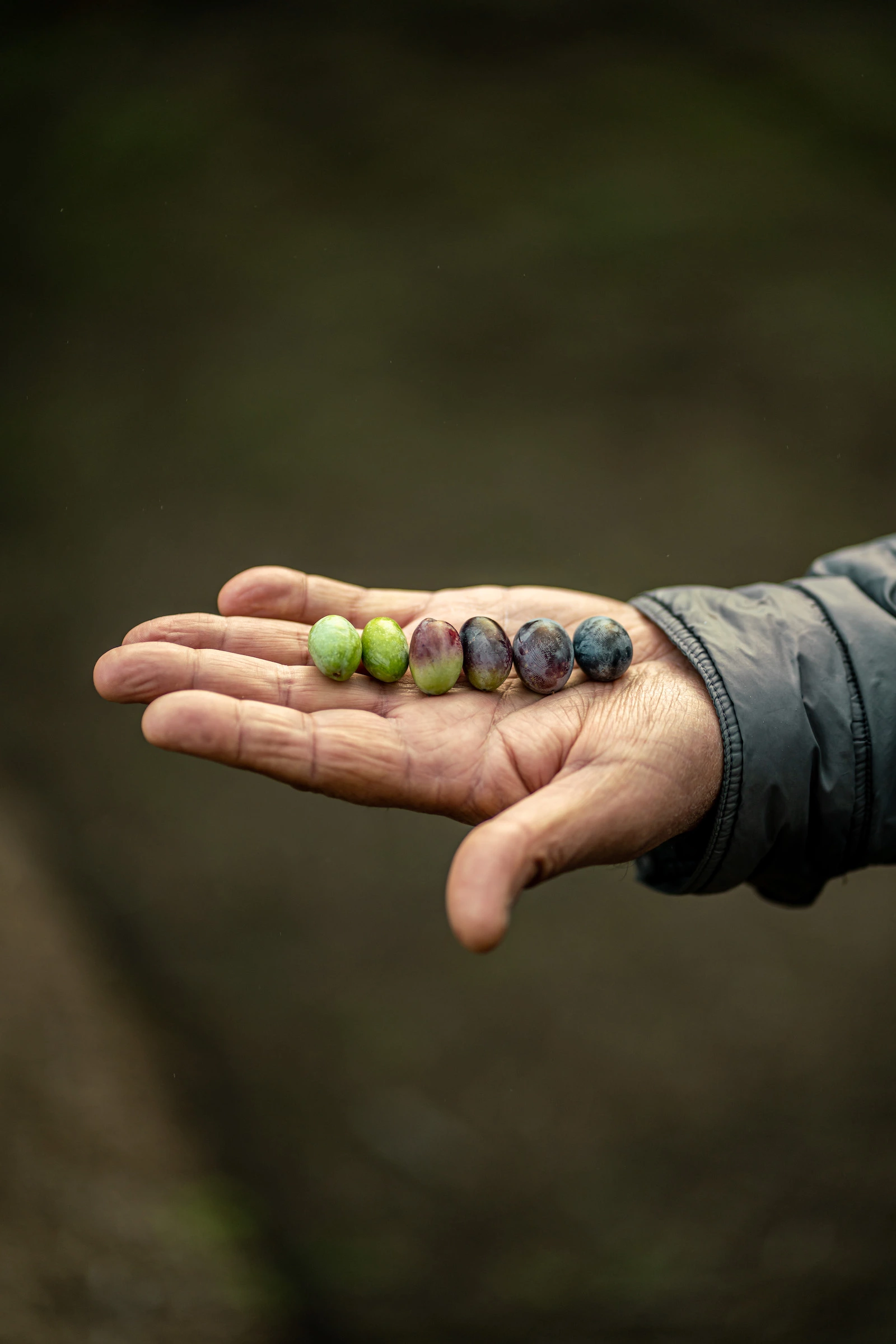 Portrait Metier Olivier & CO 10