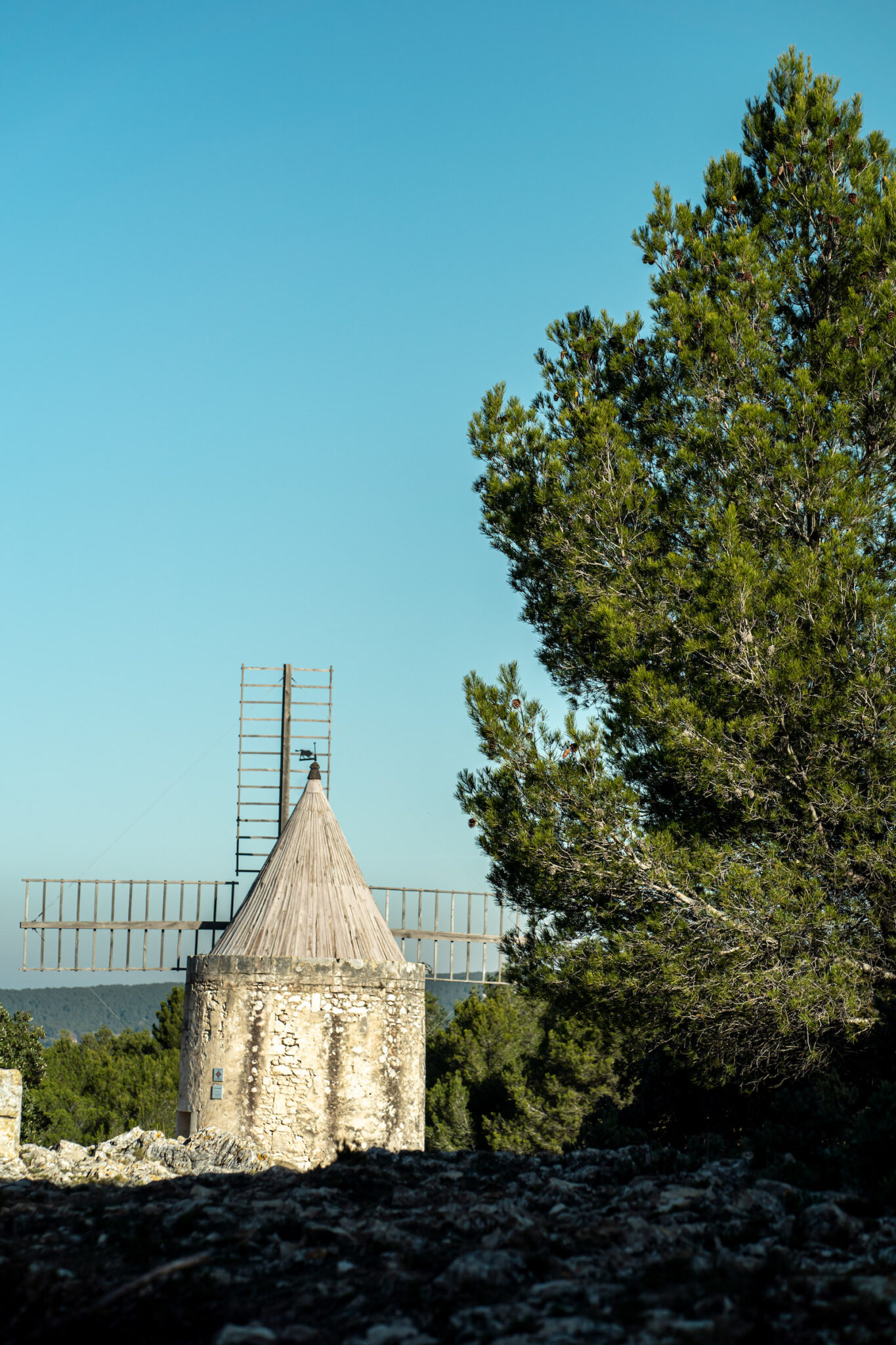 Portrait Metier Olivier & CO 4 Moulin à vent en pierre avec toit conique à côté d'un pin, capturé à la lumière du jour sous un ciel clair ; les pales du moulin à vent sont partiellement visibles.