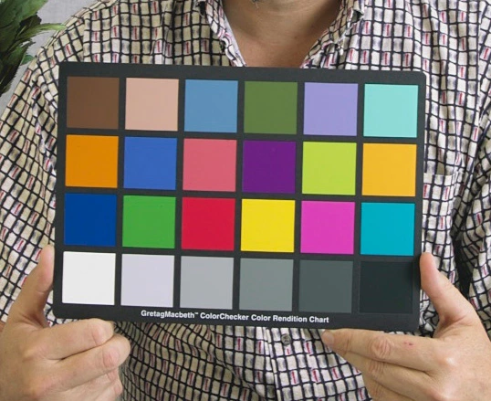 Un individu vêtu d'une chemise à motifs tient un X-Rite ColorChecker avec 24 patchs de couleur dans une grille 4x6, positionné à hauteur de la poitrine.
