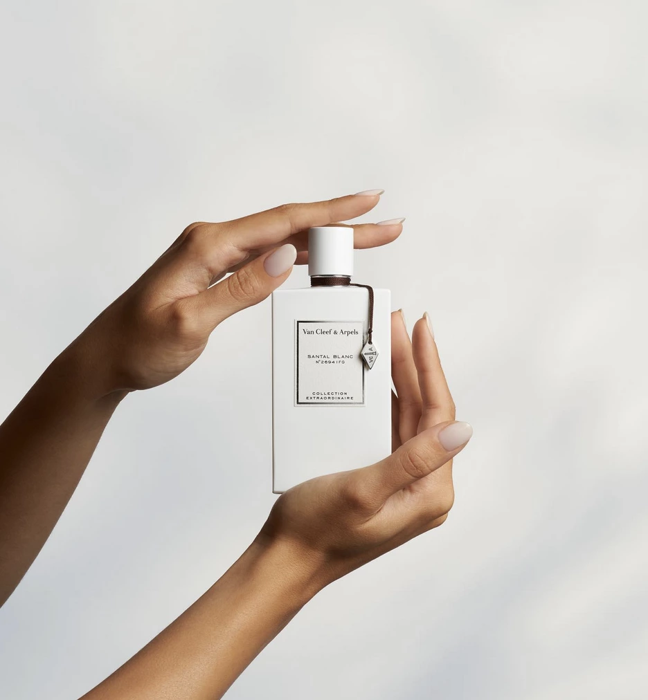 Still life avec une mannequin main pour le santal blanc