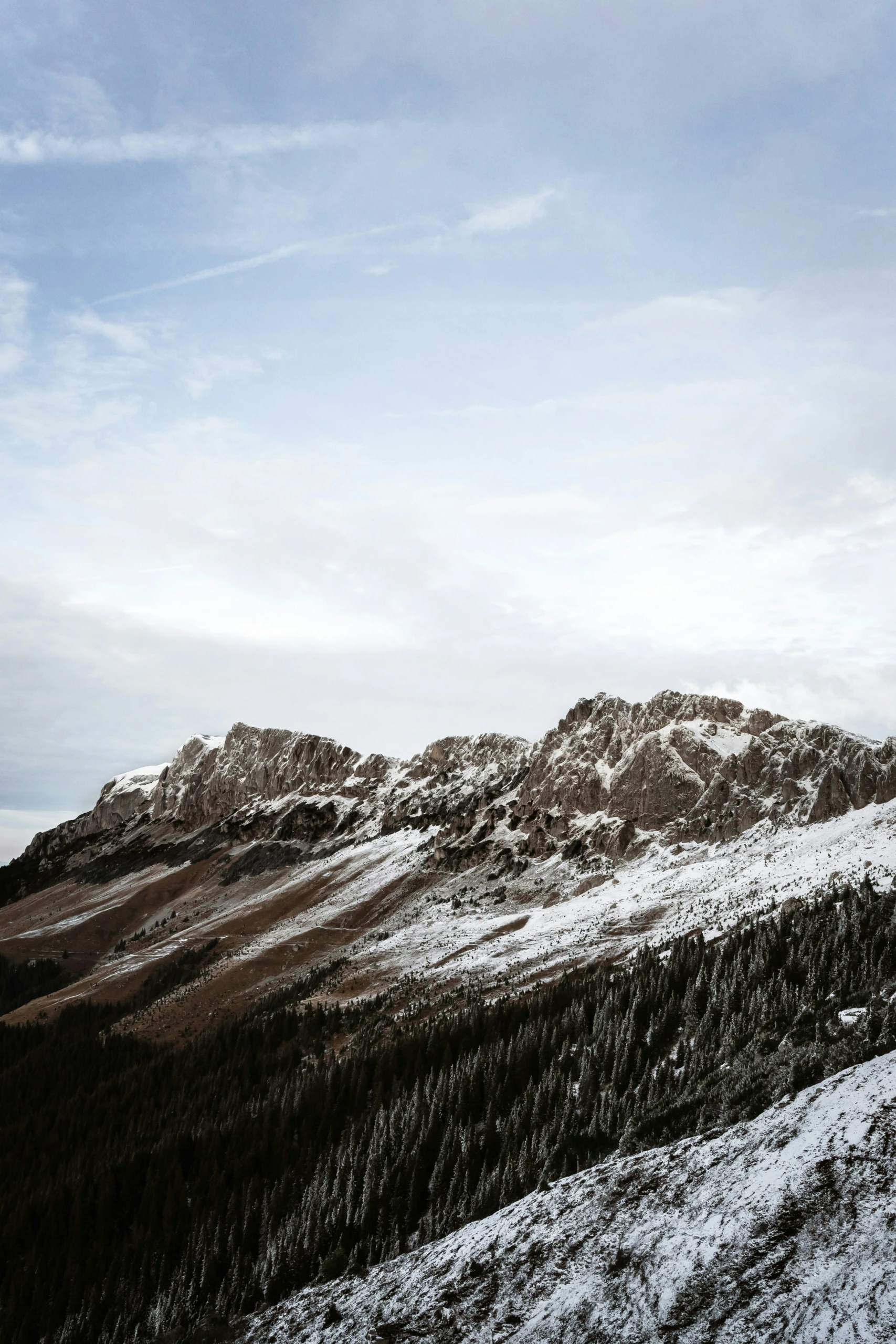 Chaîne de montagnes rocheuses enneigées sous un ciel partiellement nuageux, pentes bordées d'arbres au premier plan, photographiée avec l'expertise de la photographie de paysage.