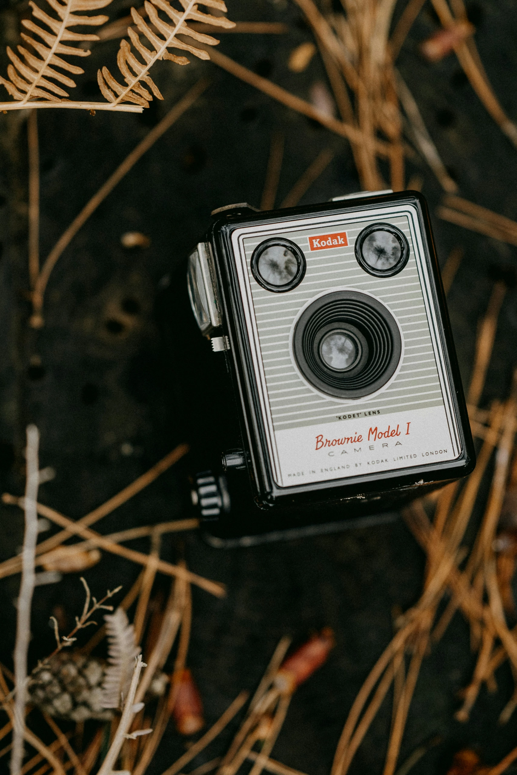 Un appareil photo Kodak Brownie Model I repose sur le sol parmi des aiguilles de pin sèches et des feuilles brunes, idéal pour la photographie de produits.