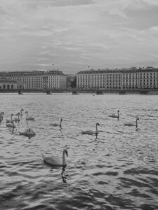 photographe à genève 1