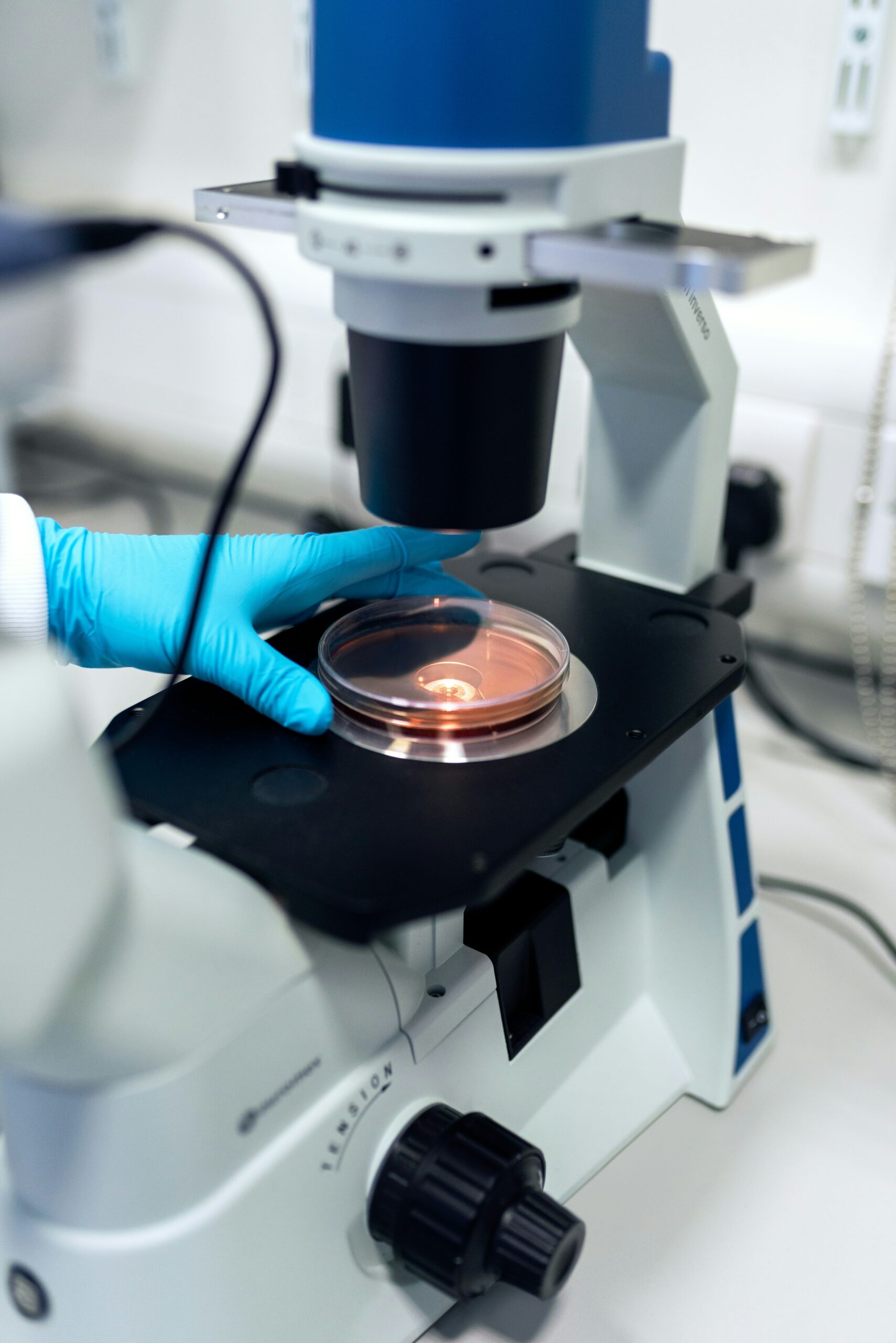 Photographie de recherche microscopique