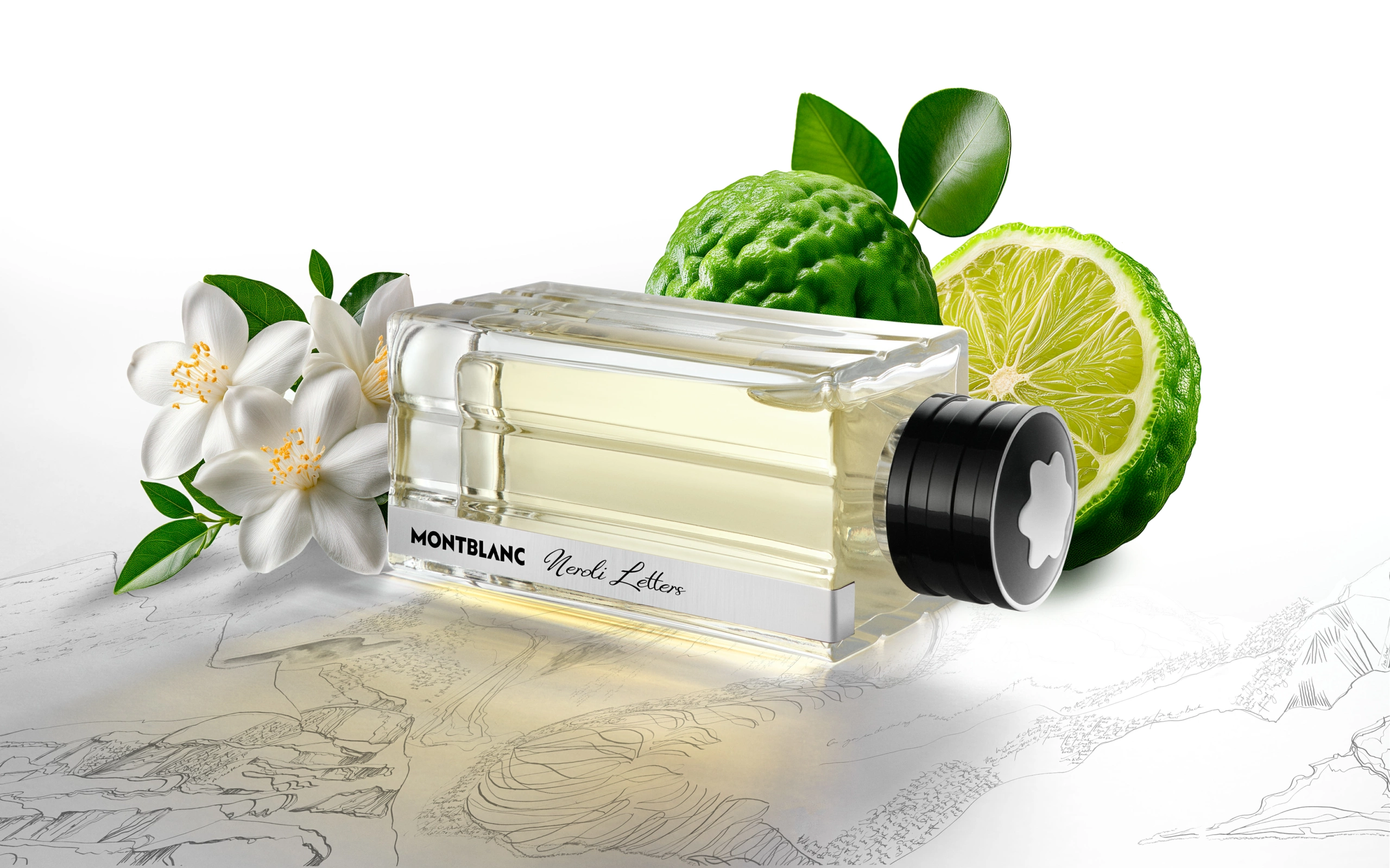 SOLO_MONTBLANC_NOVELTY_R4 Flacon de parfum « Montblanc North Letters » posé sur un croquis détaillé, accompagné de fleurs blanches et de deux moitiés d’agrumes verts avec leurs feuilles, disposés sur un fond blanc uni dans le cadre d’une séance photo de produit.