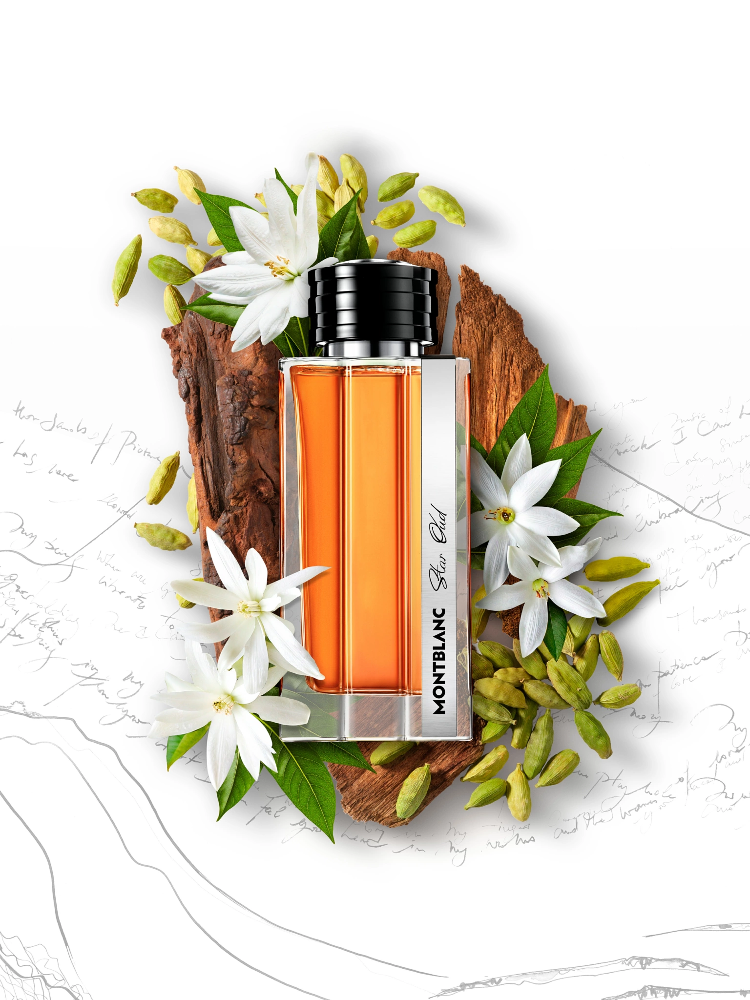 SOLO_MONTBLANC_STAR_OUD_DEF Flacon de parfum Montblanc contenant un liquide orange, posé sur une surface en bois, entouré de fleurs blanches, de bourgeons verts et de feuillage, photographié sur un fond blanc orné d'une écriture manuscrite et d'illustrations au trait, dans le cadre d'une séance de photographie de produit.