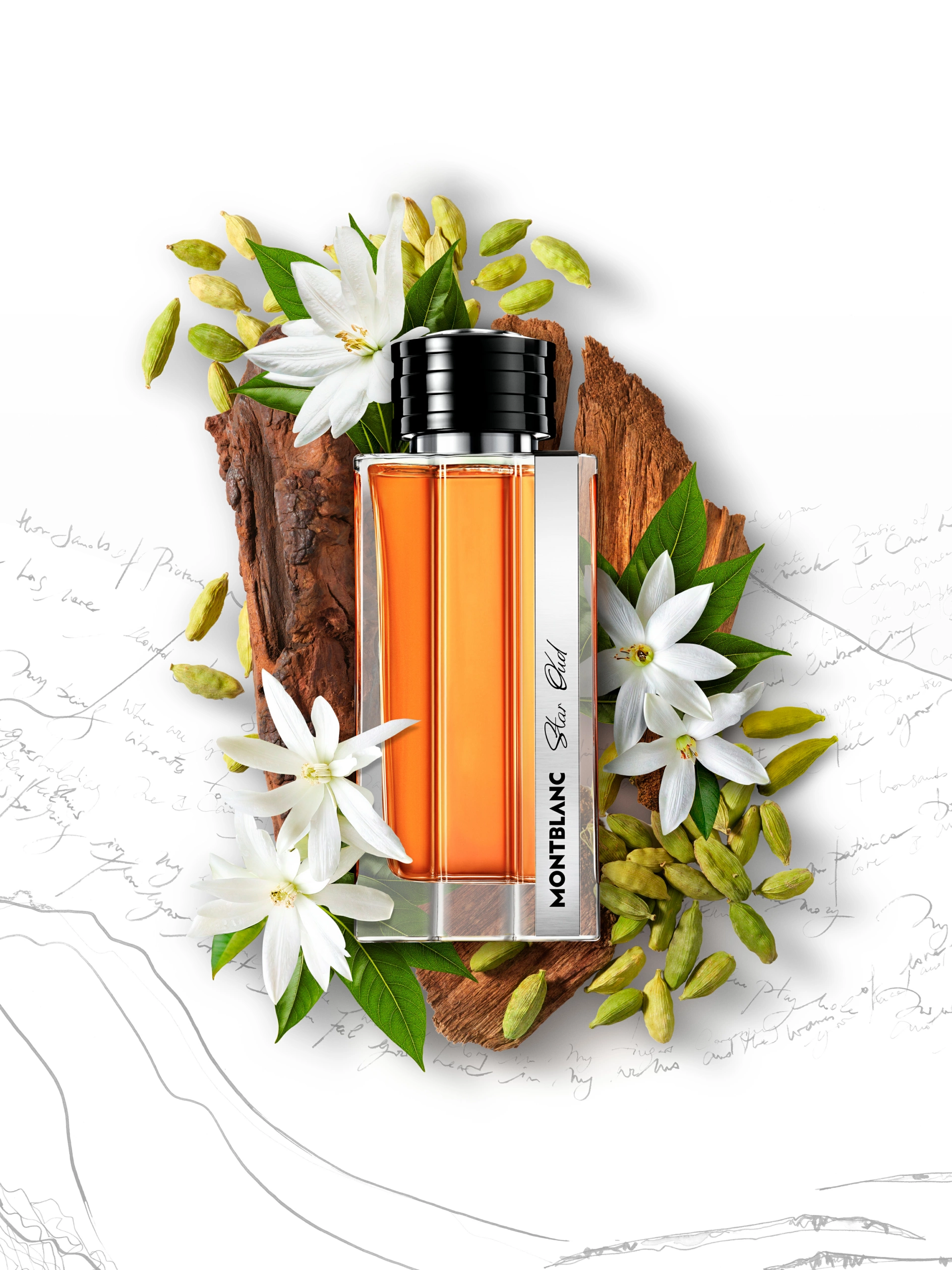 SOLO_MONTBLANC_STAR_OUD_DEF Flacon de parfum Montblanc contenant un liquide orange, posé sur une surface en bois, entouré de fleurs blanches, de bourgeons verts et de feuillage, photographié sur un fond blanc orné d'une écriture manuscrite et d'illustrations au trait, dans le cadre d'une séance de photographie de produit.