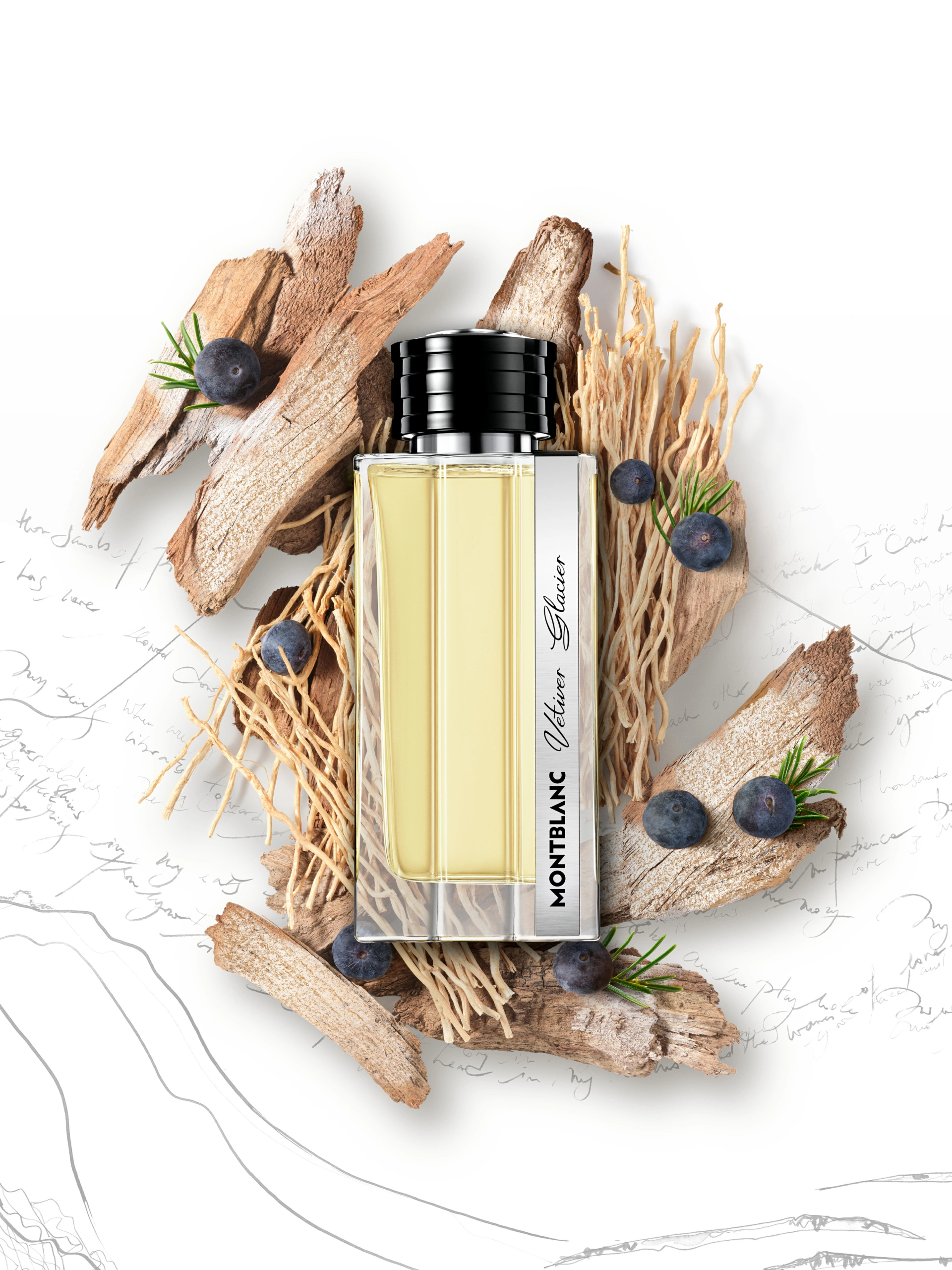 SOLO_MONTBLANC_VETIVER_GLACIER_DEF Un flacon de parfum Montblanc rectangulaire, muni d'un bouchon noir, est posé sur du bois sec et des racines, entouré de baies de genévrier, le tout sur un fond blanc orné de subtiles lignes de croquis, le tout photographié dans un studio spécialisé dans la photographie de produits.